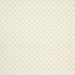Robert Allen Sandy Lane Cloud 197960 Indoor Upholstery Fabric