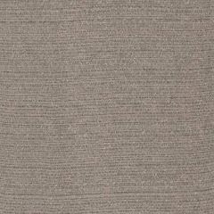 Robert Allen Plush Plain Greystone Performance Chenille Collection Indoor Upholstery Fabric