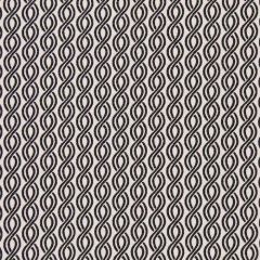 Robert Allen Twisted Rope Caviar 198011 Indoor Upholstery Fabric