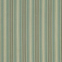 Robert Allen Abril Stripe Pool Color Library Collection Indoor Upholstery Fabric