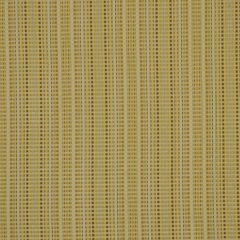 Robert Allen Anzio Honeysuckle Color Library Collection Indoor Upholstery Fabric