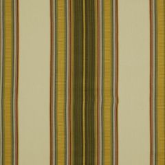 Robert Allen Dalby Stripe Honeysuckle 198408 Indoor Upholstery Fabric