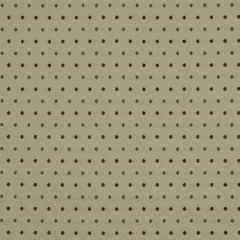 Robert Allen Basic Dots Cloud Color Library Collection Indoor Upholstery Fabric