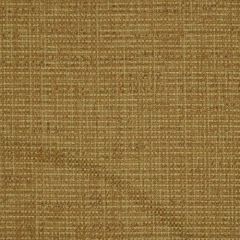 Robert Allen Small Texture Sisal 198521 Indoor Upholstery Fabric