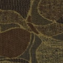 Robert Allen Cosmic Swirls Cedar 198548 Indoor Upholstery Fabric