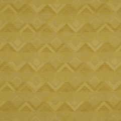 Robert Allen Mesmerize Citron Home Upholstery Collection Indoor Upholstery Fabric