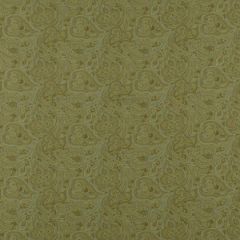 Robert Allen Paisley Woven Oasis Home Upholstery Collection Indoor Upholstery Fabric