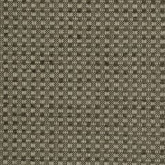 Robert Allen Weave Works Twine 198720 Indoor Upholstery Fabric
