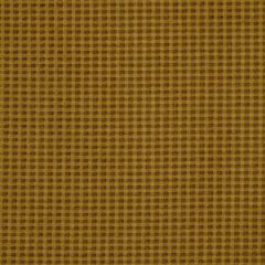 Robert Allen Poncella Oro Home Upholstery Collection Indoor Upholstery Fabric