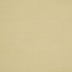 Robert Allen Scancelli Vanilla 198810 Indoor Upholstery Fabric