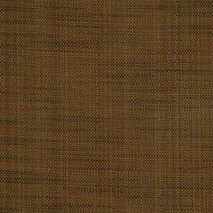 Robert Allen Scancelli Sepia 198812 Indoor Upholstery Fabric