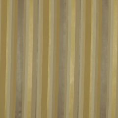 Beacon Hill Jou Jou Stripe Pewter Silk Collection Indoor Upholstery Fabric