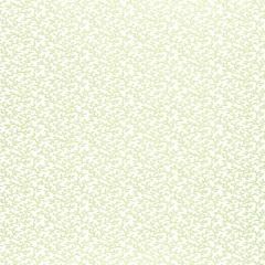 F-Schumacher Coral Vine-Aloe 5004412 Luxury Decor Wallpaper