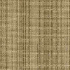 Sunbrella Lamont-Curry 5929-0001 Sling Upholstery Fabric