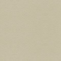 Kravet Suede Texture Gris 34121-111 Jan Showers Glamorous Collection Indoor Upholstery Fabric