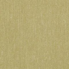 Duralee Pistachio 36289-399 Decor Fabric