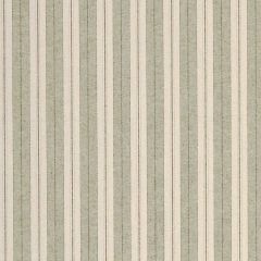 Robert Allen Weston Stripe-Palm 224602 Decor Upholstery Fabric