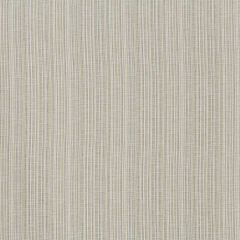 Robert Allen Dulcet Lines Lettuce 508711 Epicurean Collection Indoor Upholstery Fabric