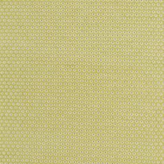 Robert Allen Contract Rowena Dot Pear 246594 Indoor Upholstery Fabric