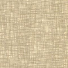 Kravet Couture Inscribed Sand 16 Faux Leather Indoor Upholstery Fabric
