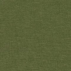 Kravet Lavish Green 32148-3333 Indoor Upholstery Fabric