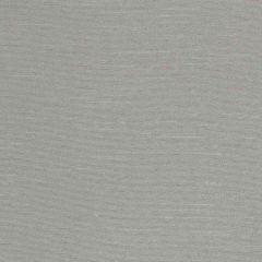 Robert Allen Contract Luxurious Look Pewter 224374 Decorative Dim-Out Collection Drapery Fabric