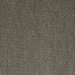 Robert Allen Jerry Point Mica 246039 Landscape Color Collection Indoor Upholstery Fabric