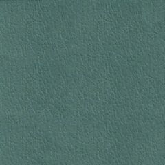 Spirit 528 Northwoods Contract Marine Automotive and Healthcare Upholstery Fabric