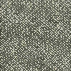 Stout Foundation Steel 2 No Boundaries Performance Collection Upholstery Fabric