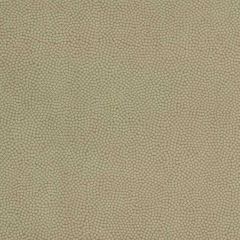 Kravet Couture Beautymark Greystone 106 Faux Leather Indoor Upholstery Fabric