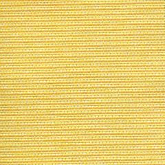 Tempotest Home Donatello Tuscan Sun 50963/2 Strutture Collection Upholstery Fabric