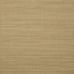 Sunbrella Augustine Golden 5928-0049 Sling Upholstery Fabric