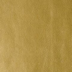 Kravet Design Kerinci Rising Sun 4 Performance Sta-Kleen Collection Indoor Upholstery Fabric
