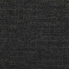 Kravet Contract 35128-81 Crypton Incase Collection Indoor Upholstery Fabric
