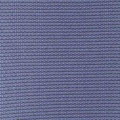 Robert Allen Contract Walking Path-Sapphire 242076 Decor Upholstery Fabric