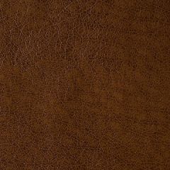 Kravet Contract Rebel Bronco 6 Sta-Kleen Collection Indoor Upholstery Fabric