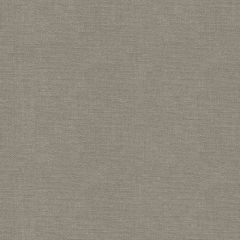 ABBEYSHEA Exuberance 9006 Pewter Indoor Upholstery Fabric