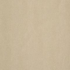 Robert Allen Contract Aubrey Solid Flax 240216 Faux Leather Collection Indoor Upholstery Fabric