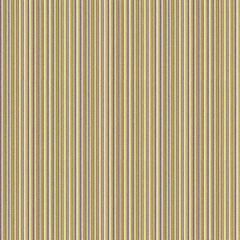 Kravet Design Spectrum 33180-310 Inspirations Collection Indoor Upholstery Fabric