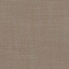 Perennials Rough 'n Rowdy Tumbleweed 955-288 Beyond the Bend Collection Upholstery Fabric