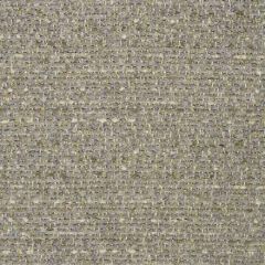 Kravet Smart Grey 35117-11 Crypton Home Collection Indoor Upholstery Fabric