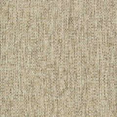 Stout Acosta Burlap 2 New Beginnings Performance Collection Indoor Upholstery Fabric