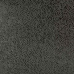 Kravet Design Beholder 21 Indoor Upholstery Fabric