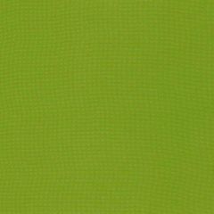 F Schumacher Mondello Lime 71032 Riviera Collection Upholstery Fabric
