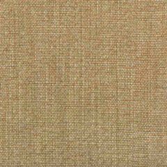 Kravet Basics 35189-166 Multipurpose Fabric