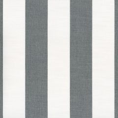 Perennials Go to Stripe Grey Hills 570-317 Natural Selection Collection Upholstery Fabric