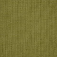 Robert Allen Botkier-Eucalyptus 193853 Decor Multi-Purpose Fabric