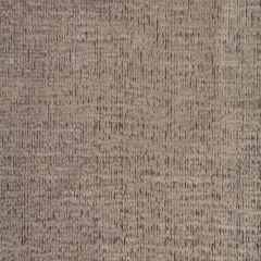 Robert Allen Grand Chenille Mica 232329 Plush Chenilles Collection Indoor Upholstery Fabric