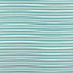 Scalamandre Bella Dura Steps Beach Turquoise WR 00022661 Elements Collection Contract Upholstery Fabric