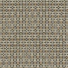 Mayer Tango Flint 460-006 Good Vibes Collection Indoor Upholstery Fabric